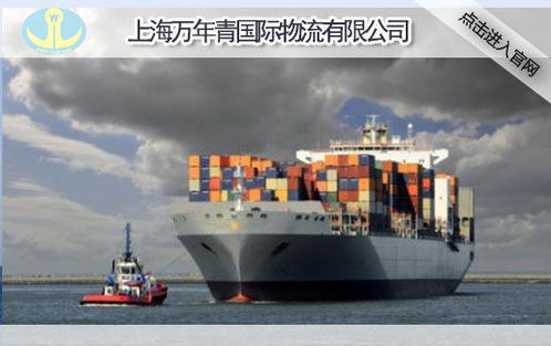 上海國際外貿(mào)出口海運(yùn)運(yùn)輸公司 萬年青國際物流